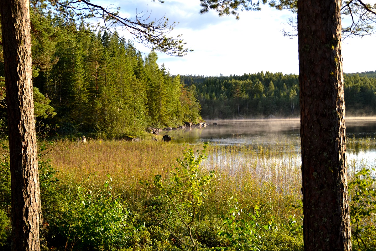 Kanotur på Svartelven, Värmland, 7 - Vagabond Tours - vandreferie, tømmerflåde- og